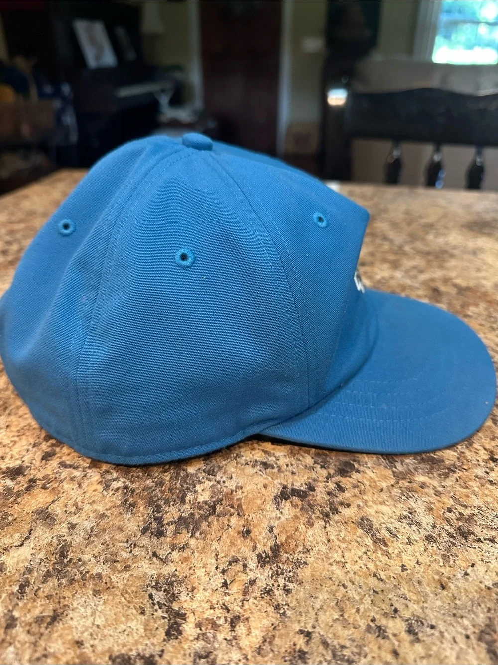 The North Face MENS Blue Baseball Cap
